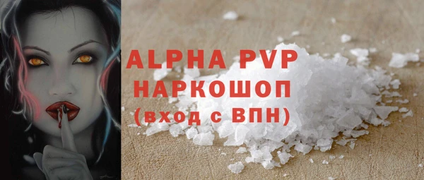 твердый Бородино