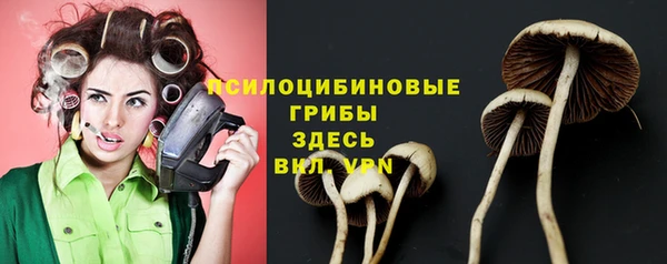 твердый Бородино