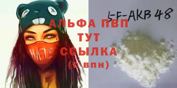 твердый Бородино
