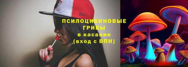 прущие грибы Слюдянка