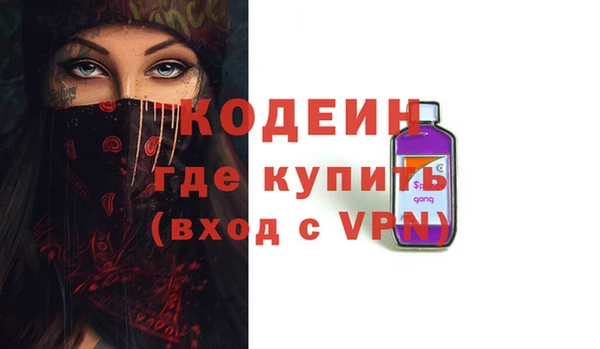 твердый Бородино