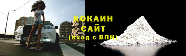 твердый Бородино