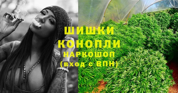 твердый Бородино
