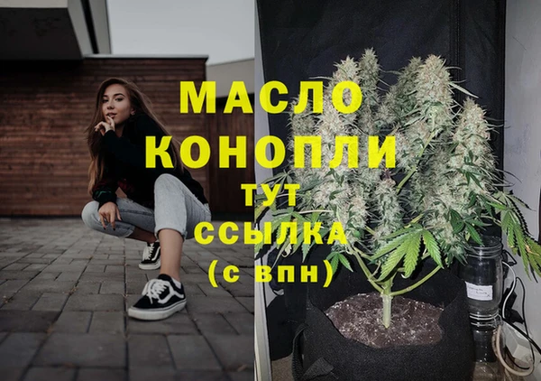 твердый Бородино