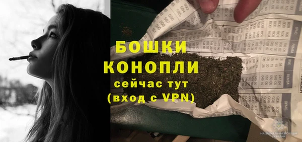 твердый Бородино