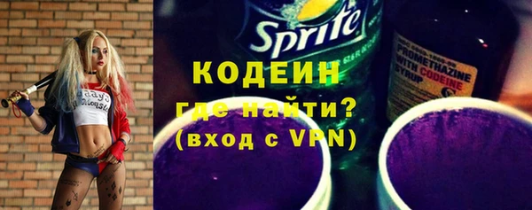 твердый Бородино